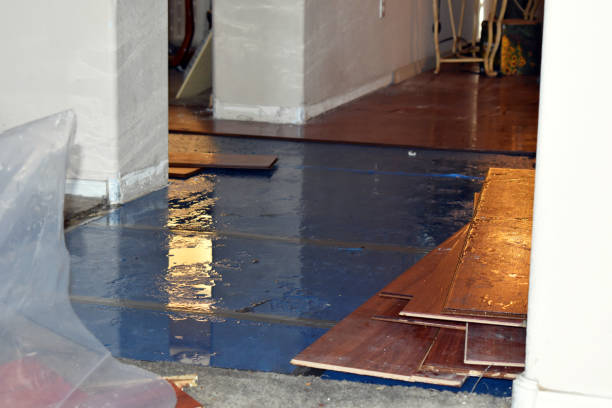 Professional Burst Pipe Cleanup technician working in Canaan, NH